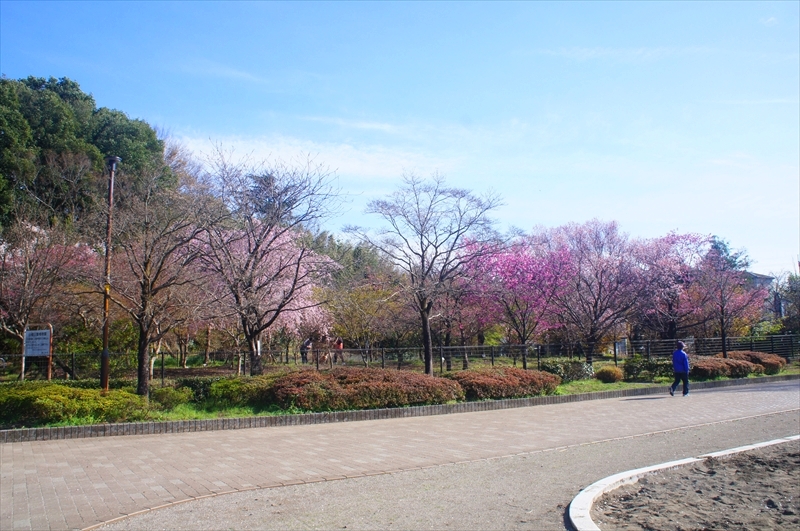 DSC00405_R