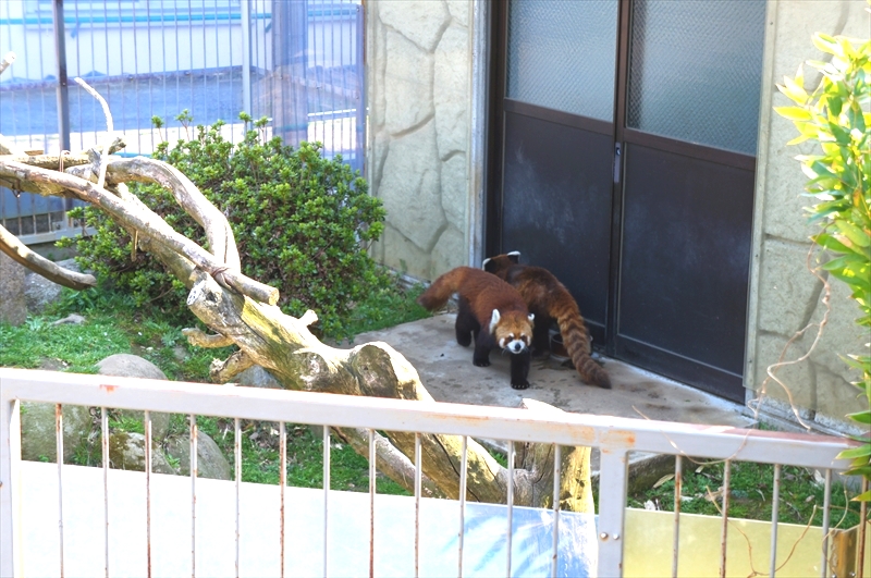 DSC04033_R
