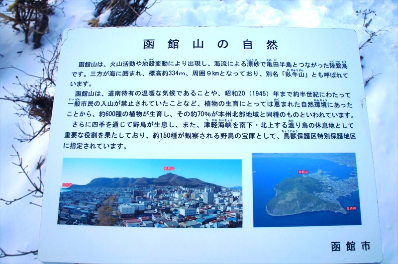 DSC00214_R