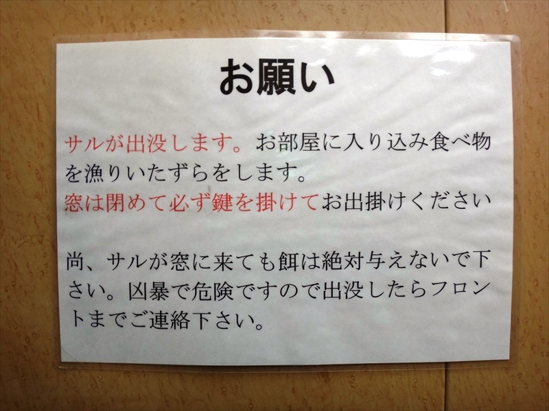 DSC06386_R