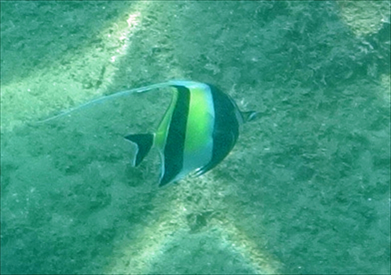 DSC0016_R
