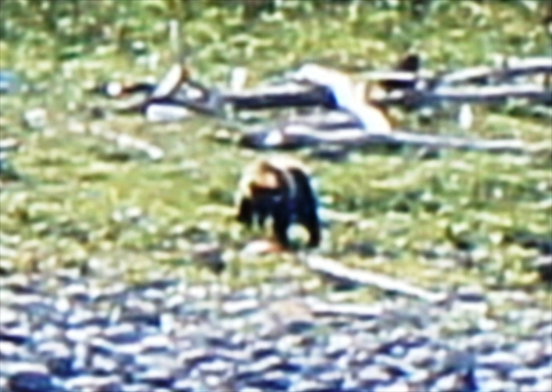 DSC00578_R