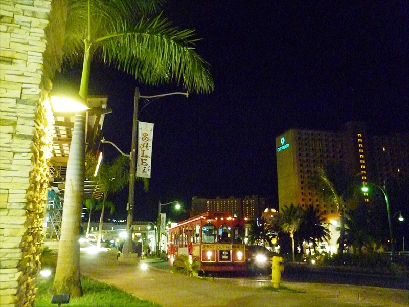 P1050739_R