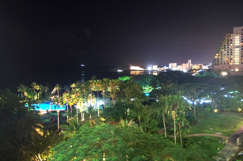 DSC00719_R