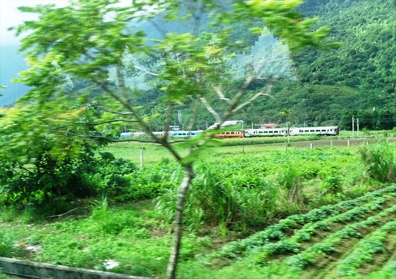 DSC00481_R