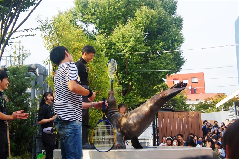 DSC01269_R