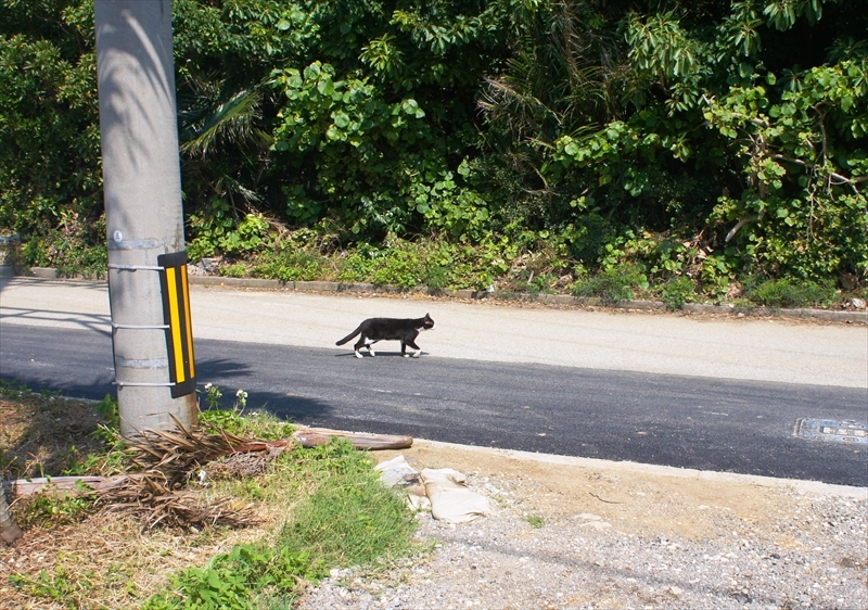 DSC00877_R
