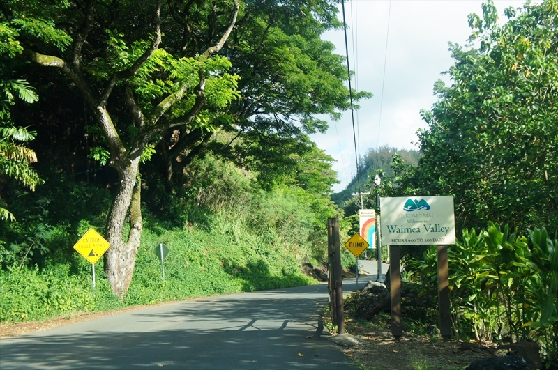 DSC08248_R