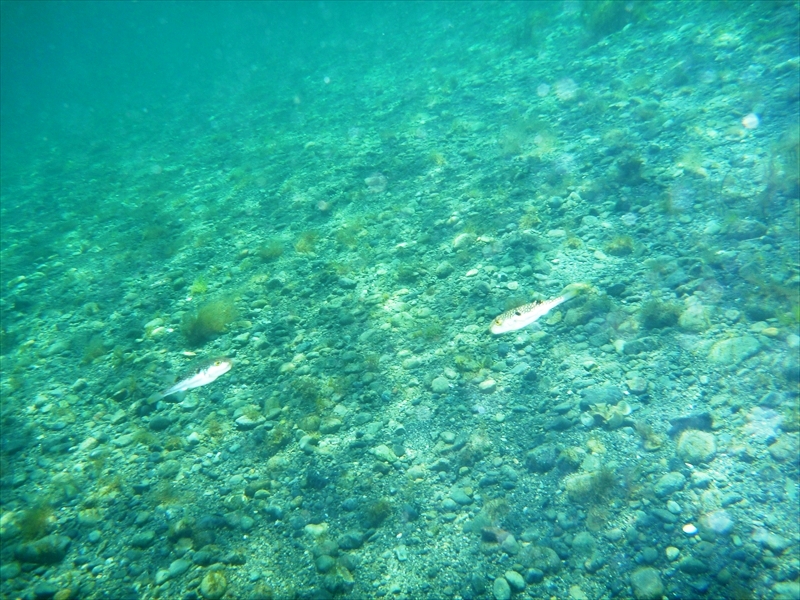 P1140997_R