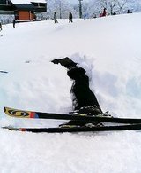 突然ダイブ