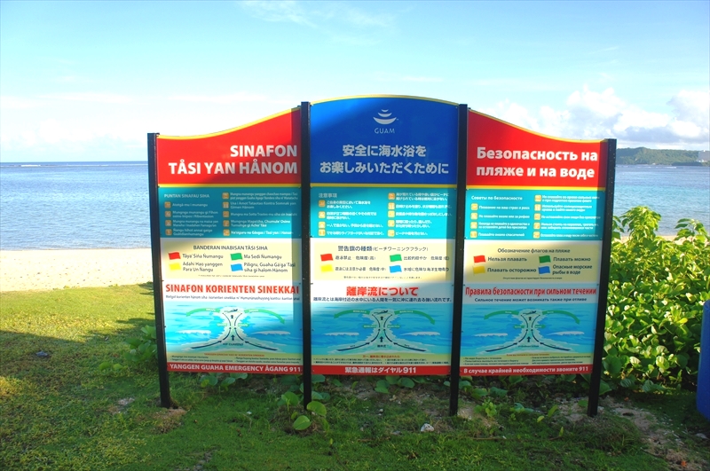 DSC00806_R