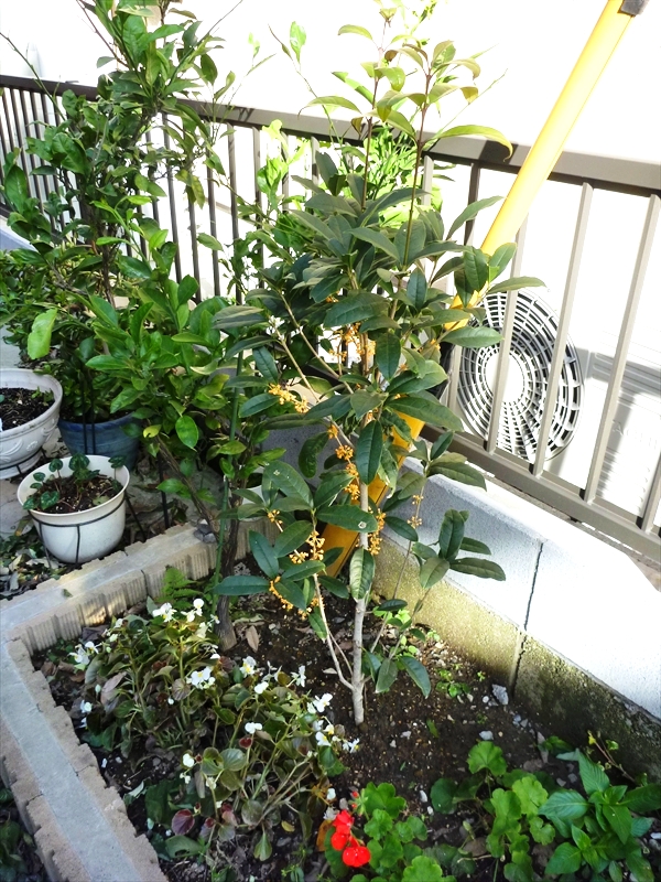 P1010698_R