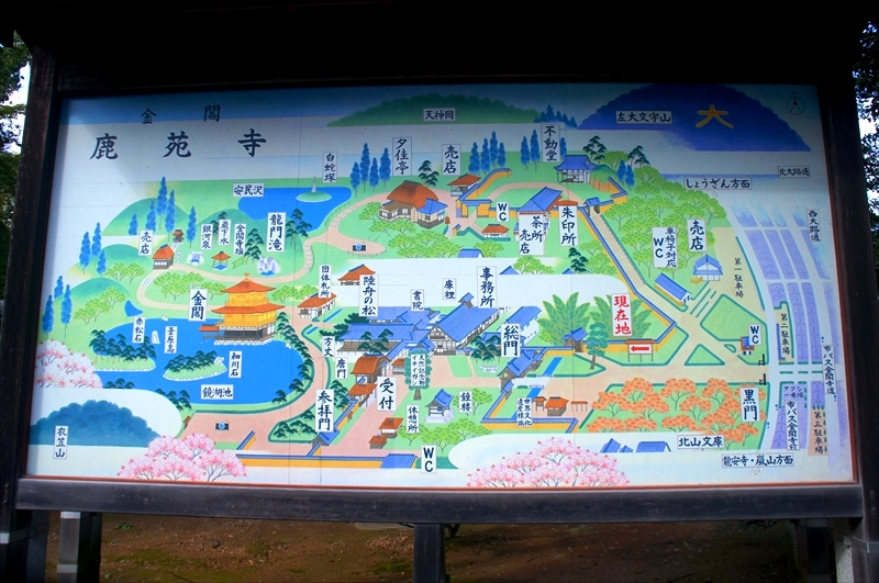 DSC00224_R