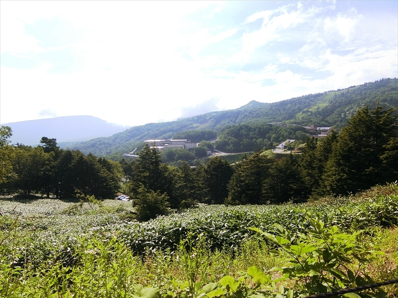 CIMG9684_R
