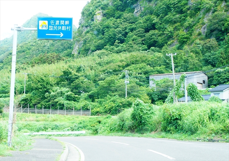 DSC05798_R