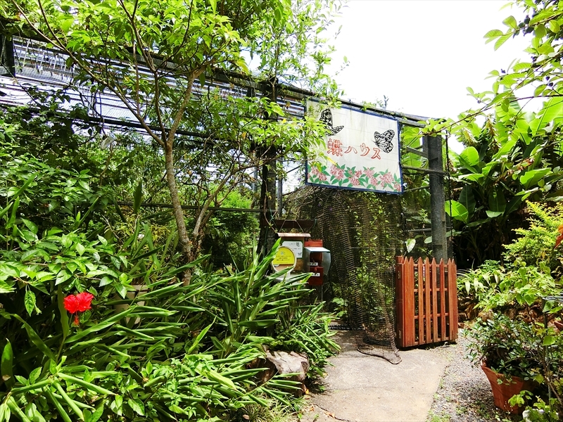 CIMG6958_R