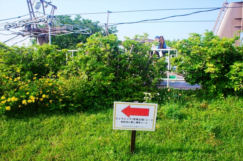 DSC00086_R