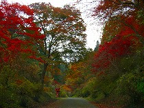 山道2