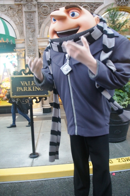 DSC00295_R