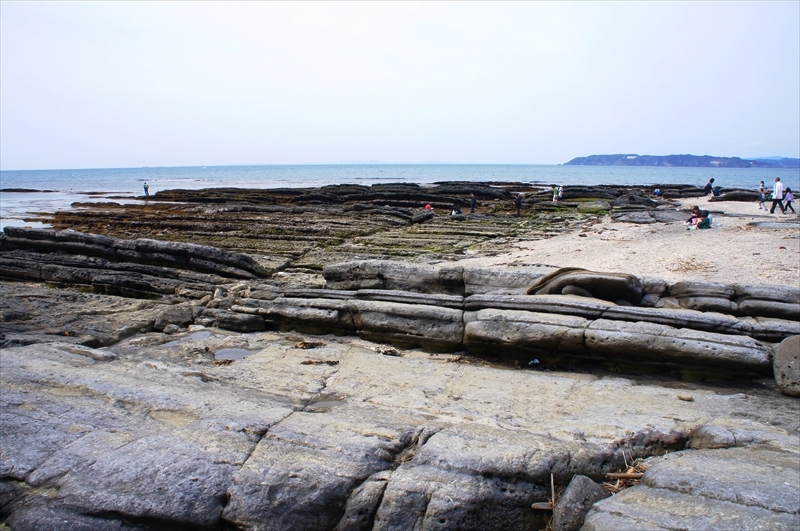 DSC01611_R