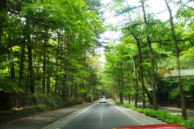 DSC02532_R