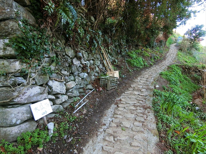 CIMG6973_R