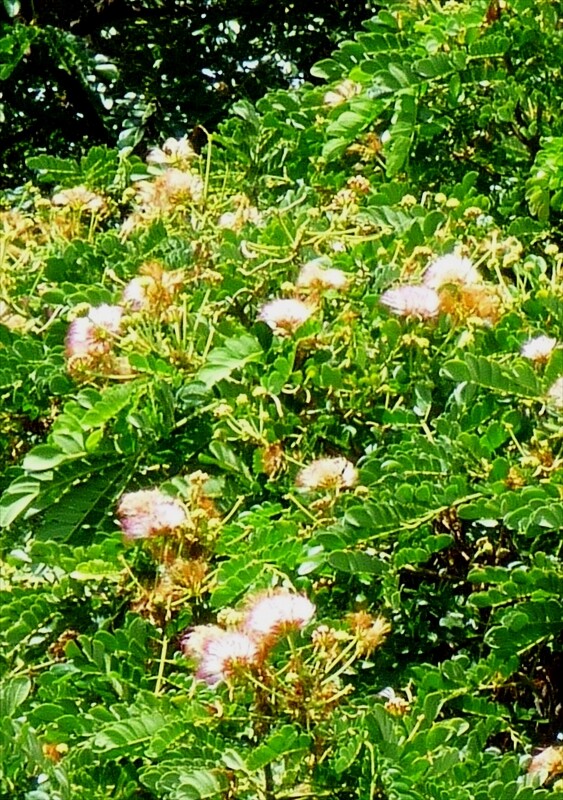 P1020610_R