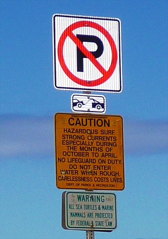 P1020459_R