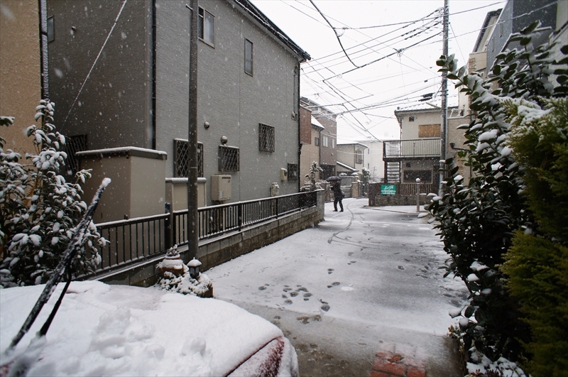 DSC03734_R