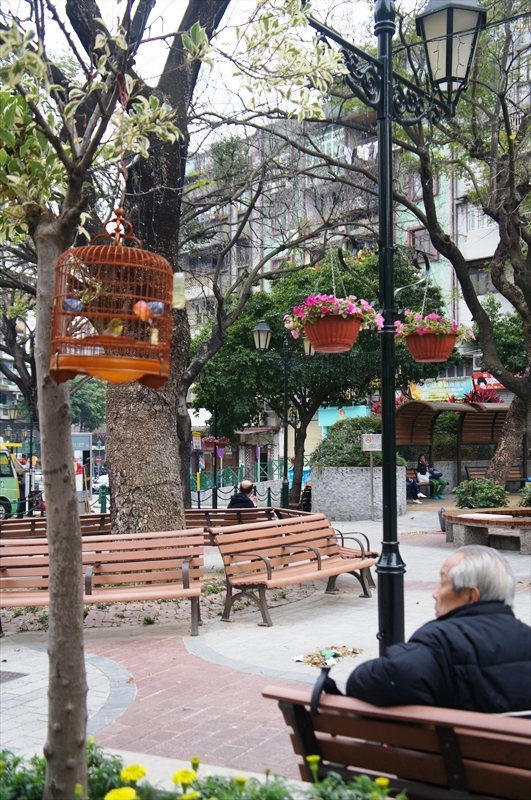 DSC01273_R