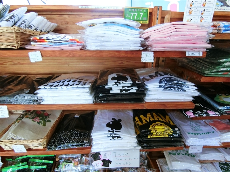 CIMG5522_R