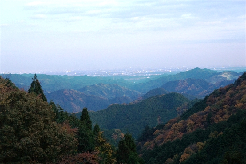 DSC01820_R