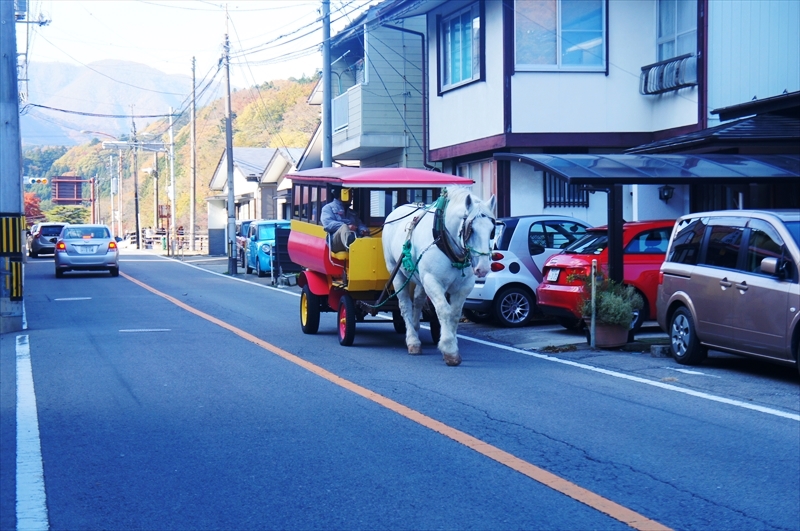 DSC01830_R