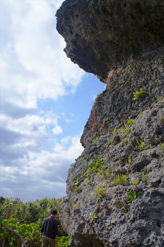DSC00464_R