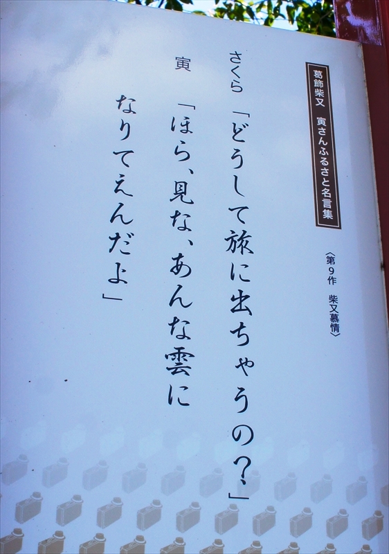 DSC00015_R