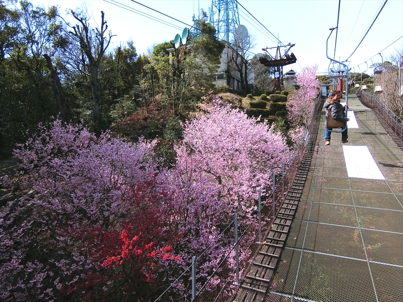 CIMG7143_R