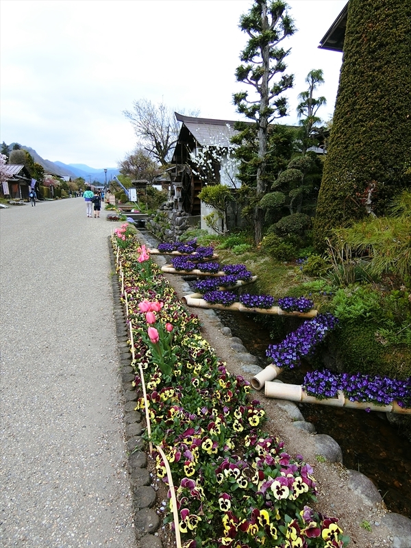 CIMG5359_R