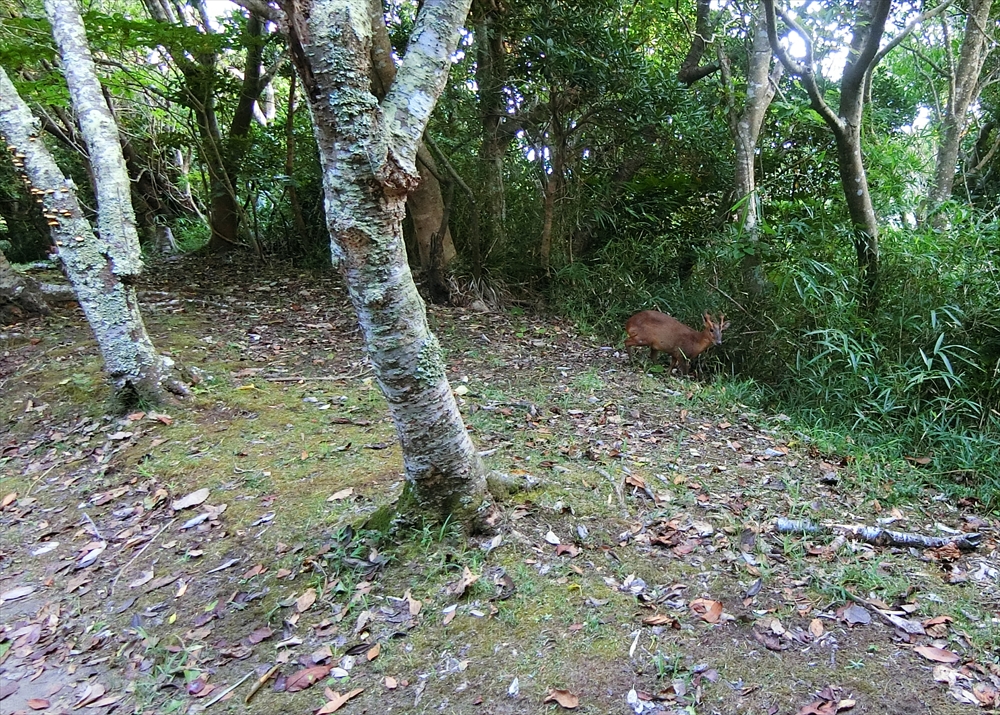 CIMG3631_R