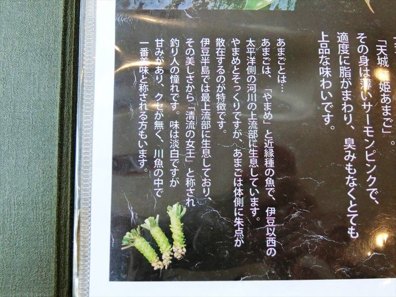CIMG9174_R