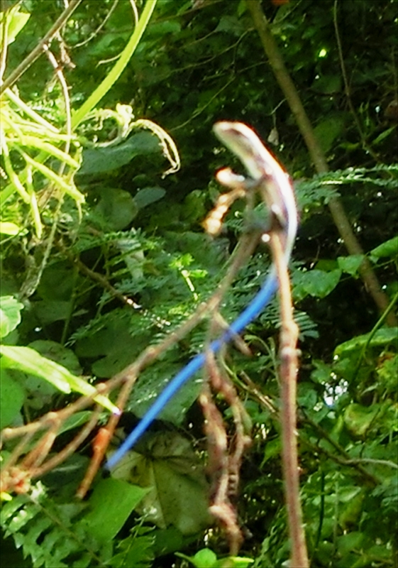 CIMG6517_R