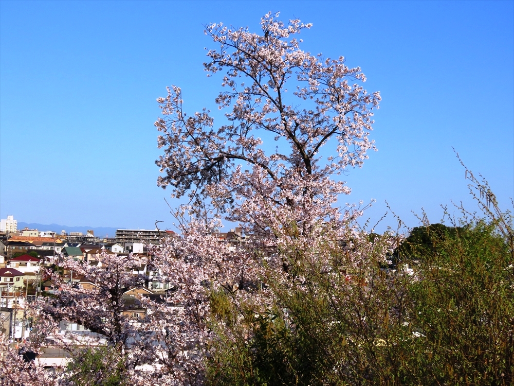IMG_1473_R