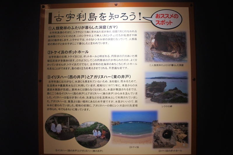 DSC00376_R
