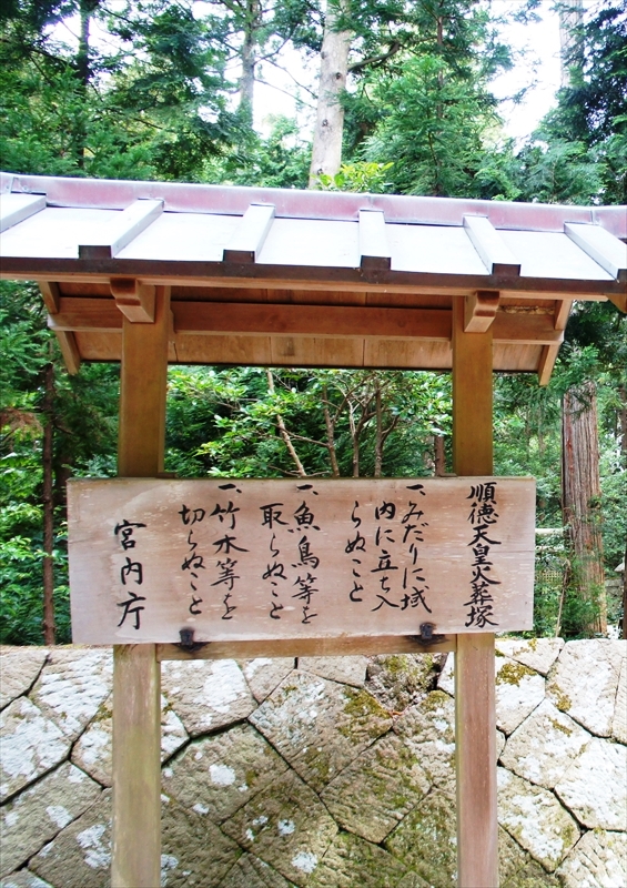 DSC05355_R