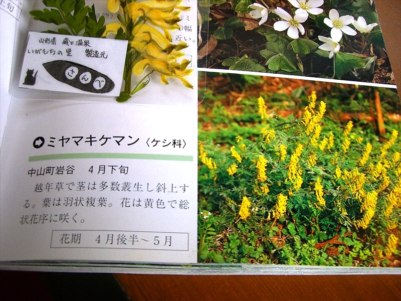 CIMG2957_R