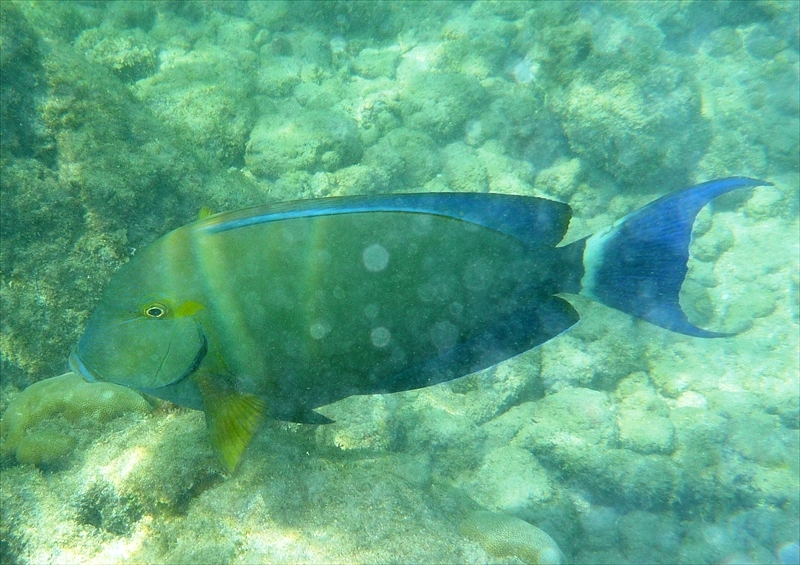 P1020079_R