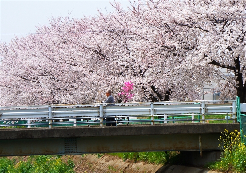DSC03861_R