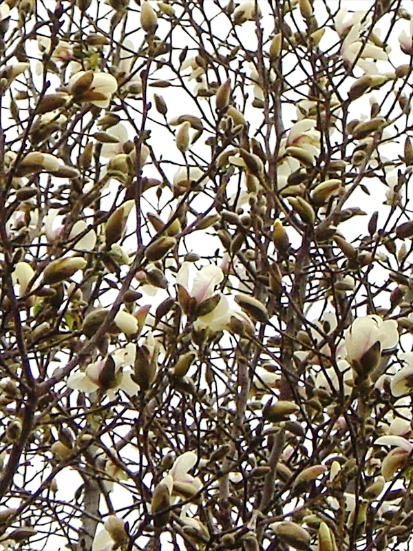 CIMG7649_R