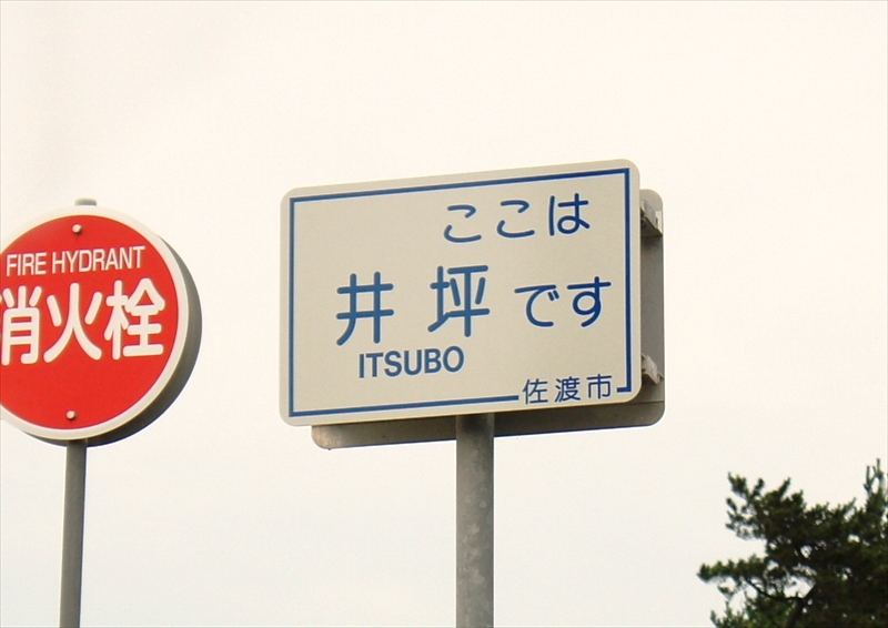 DSC049445_R