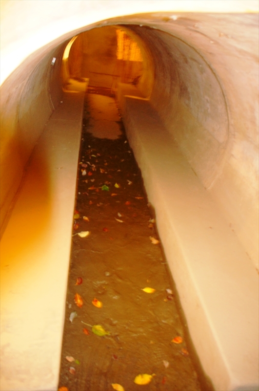 DSC09759_R