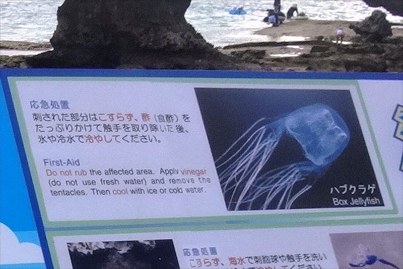 DSC00460_R